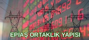 EPİAŞ Ortaklık Yapısı