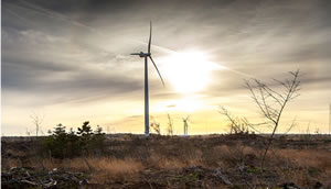 123 MW rüzgar santrali için önlisans verildi